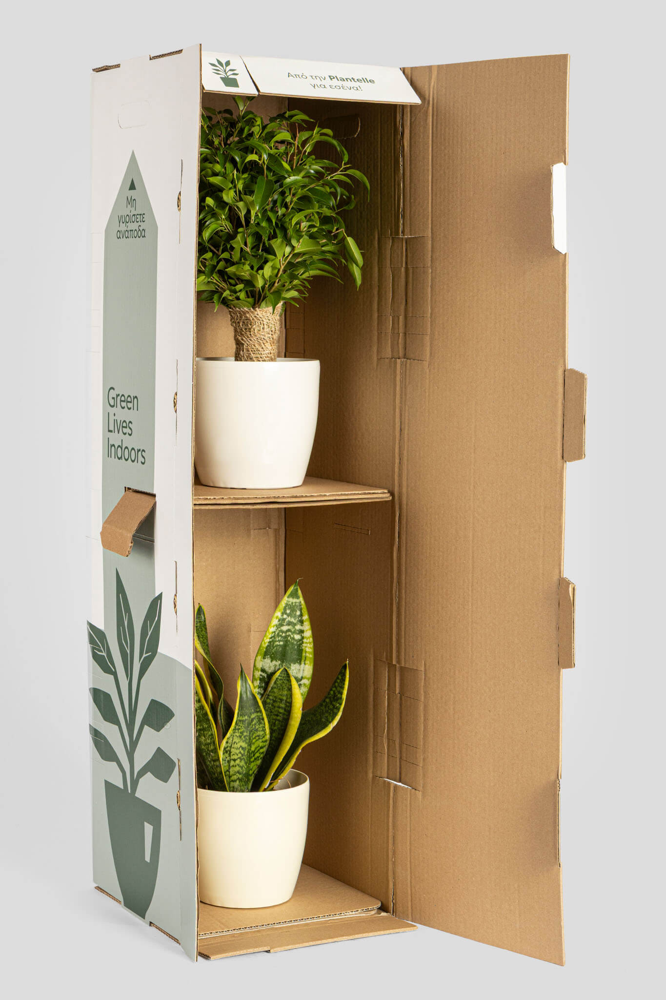 2 Φυτά σε 1 Συκευασία